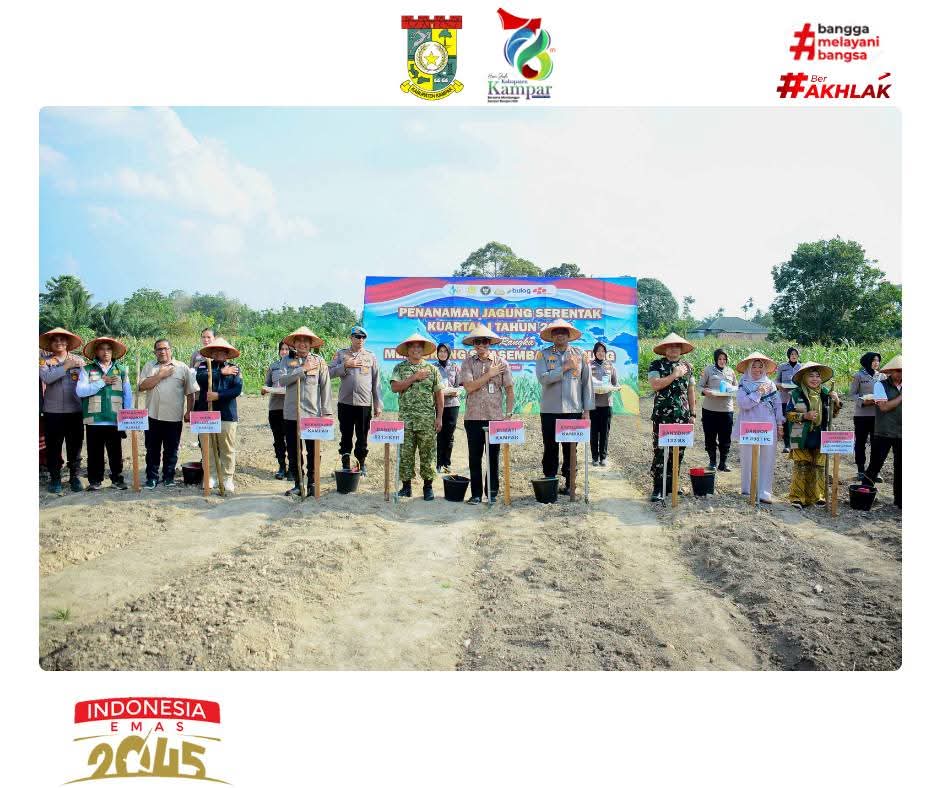 Pemkab Kampar Gelar Tanam Raya Jagung Serentak untuk Dukung Swasembada Pangan